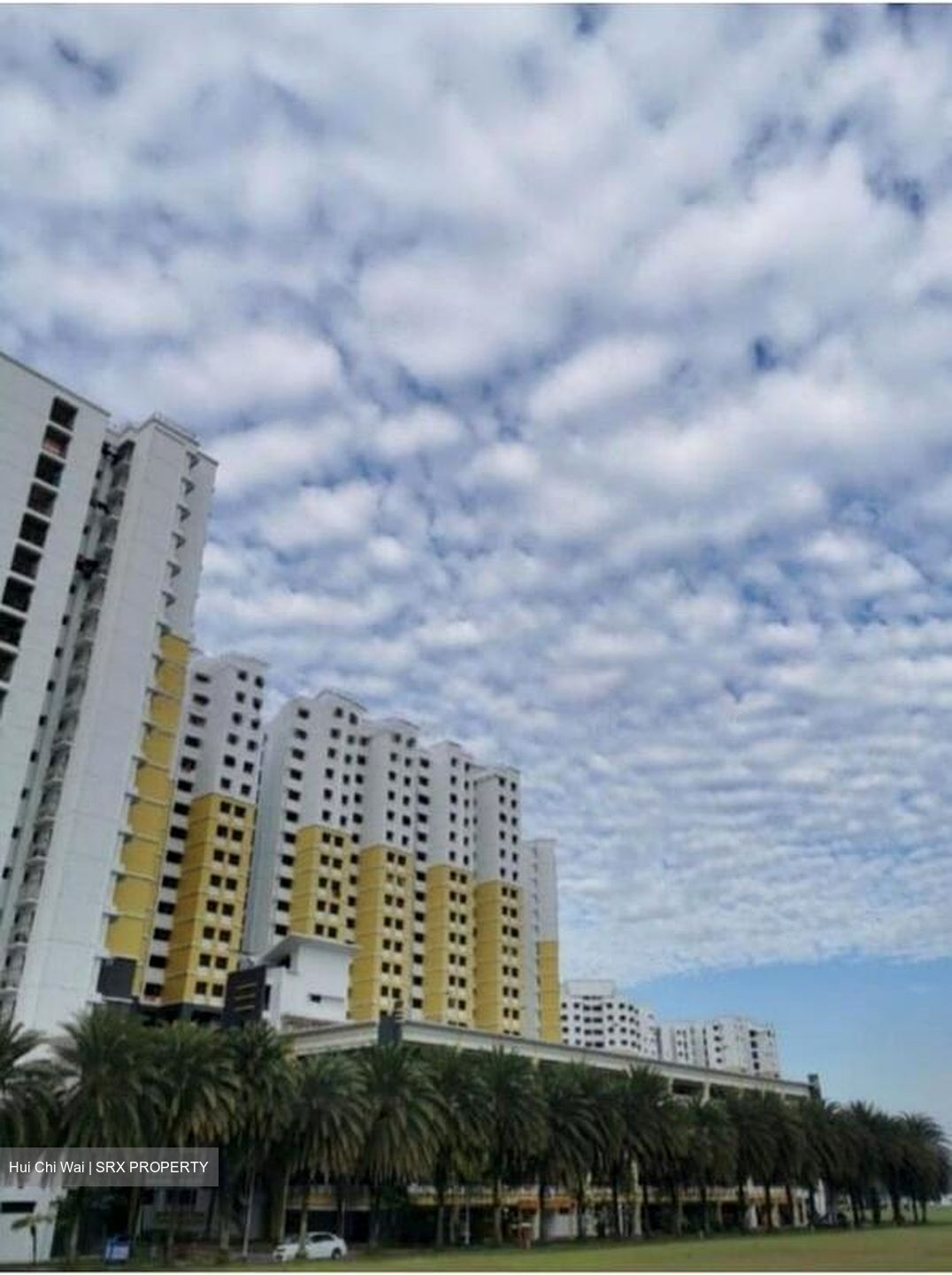 Admiralty Link (Sembawang),  #501641711